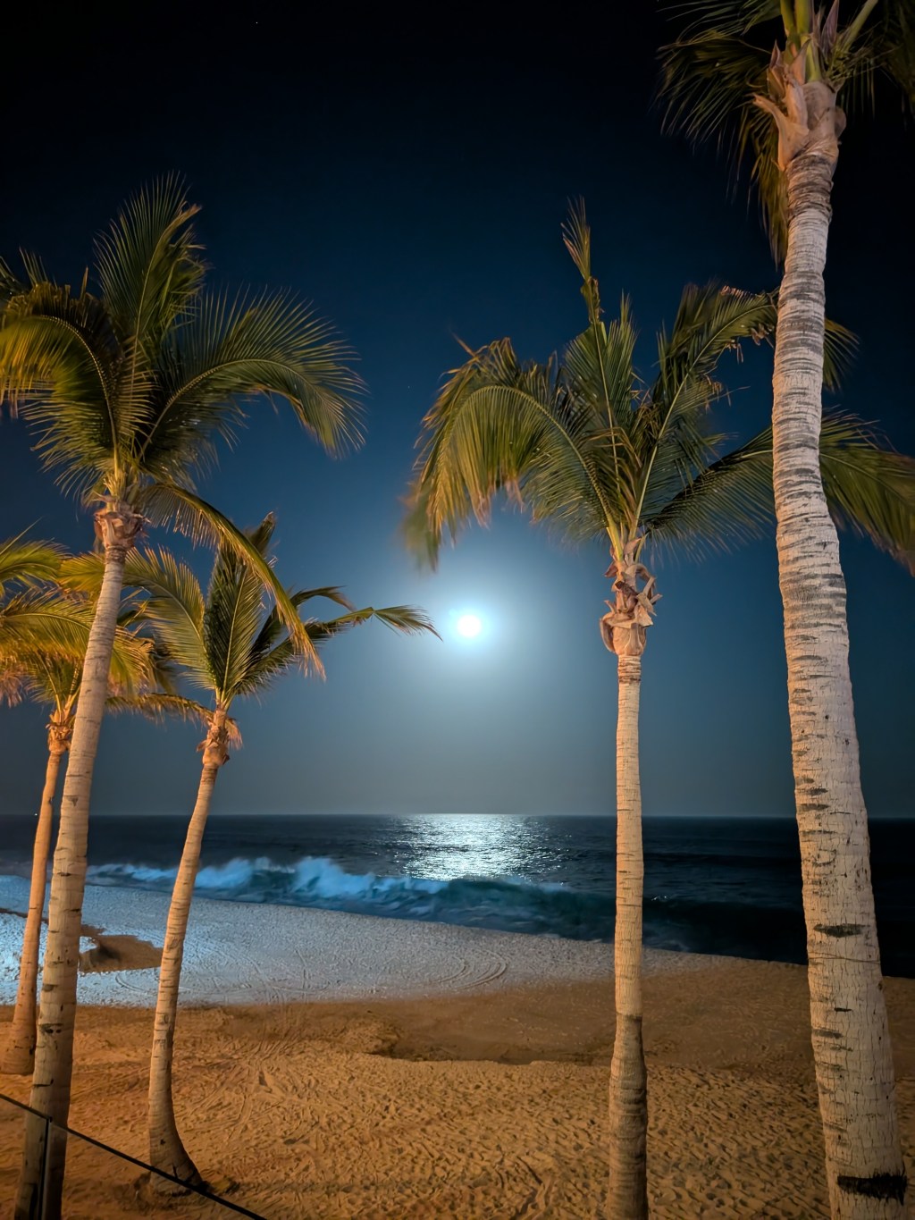 Spring Break 2025: Cabo